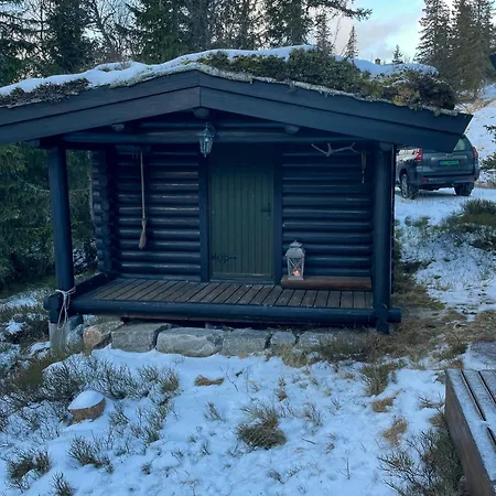 Family From 1968 At Norefjell * Noresund